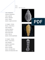 Klasifikasi Foraminifera Nama: Hanif Fikriyantito Nim: F1D213016