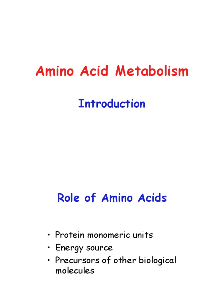 Amino Acid Metabolism Overview | PDF