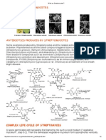 What are Streptomycetes_.pdf