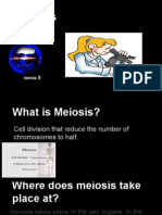 Meiosis 3