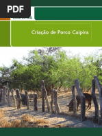 ocriação de porco caipira.pdf