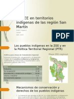 La ZEE en Territorios Indígenas de La Región San Martín