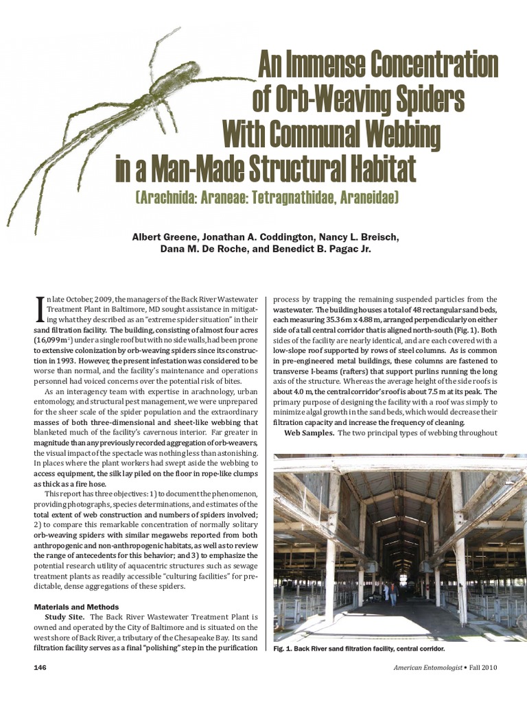 Baltimore Wastewater Spider Infestation | PDF | Spider Web | Spider