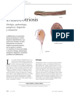 Difilobotriosis Etiología, Epidemiología, Patogénesis, Diagnóstico y Tratamiento