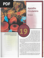Cap.19 - Aparelho Circulatório