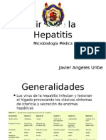 Virus Hepatitis