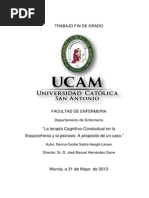 TFG TCC en psicosis y esquizofrenia