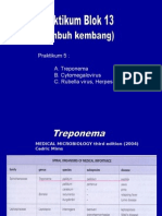 prak tumbuh kembang.ppt