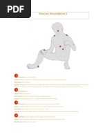 Chacras Secundários