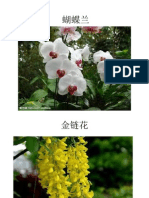 花.pdf