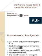 Health and Nursing Issues Related To Undocumented Immigration