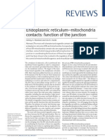 Endoplasmic Reticulum-Mitochondria Contacts. Function of The Junction