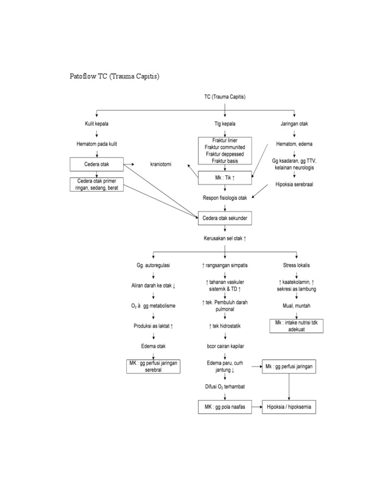 Patoflow TC (Trauma Capitis) | PDF