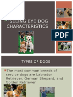 Seeing Eye Dogs