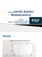 2 Consideraciones Anato-biomecanicas