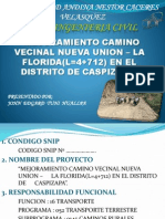 Camino Vecinal Nueva Union