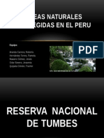 Areas Naturales Protegidas en El Peru