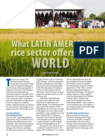 Rice Today Vol. 14, No. 2 What Latin America's Rice Sector Offers The World