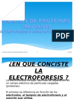 Analisis de Proteinas Mediante Electroforesis e Inmunotransferencia