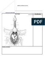 Picture Classification: Sheet of Practicum Name: ID: Title of Practicum: The Part of Obervation