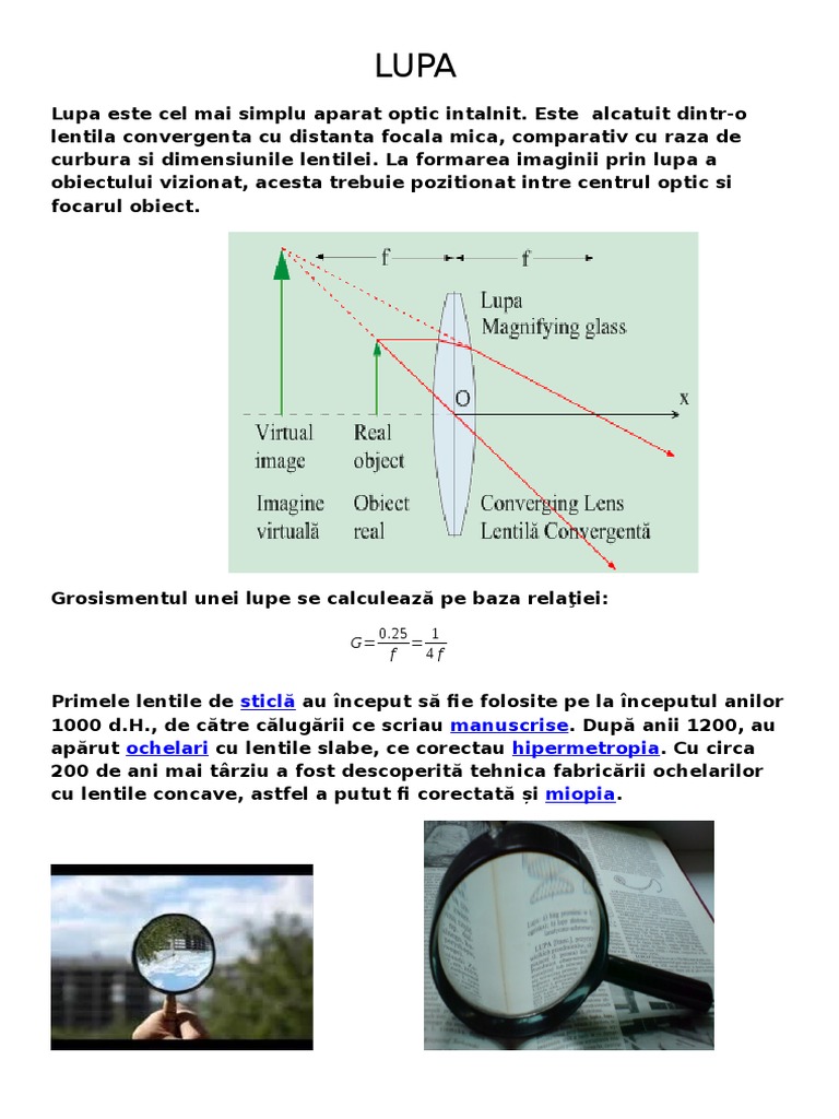 Lupa | PDF