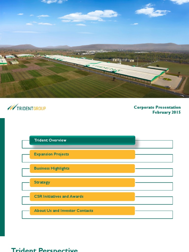 Trident Corporate Overview & Strategy | PDF | Dividend | Cotton
