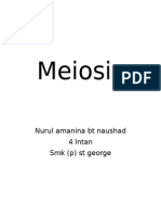 Meiosis: Nurul Amanina BT Naushad 4 Intan SMK (P) ST George