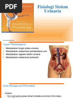 Fisiologi Sistem Urinaria              