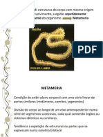 Metameria: Segmentação em Animais | PDF
