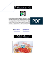 Celula a Menor Unidade Estrutural Básica Do Ser Vivo