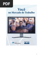 Você No Mercado de Trabalho FGV NERI