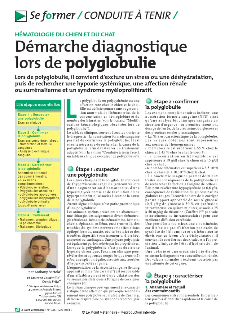 Hematologie Polyglobulie Du Chien Et Chat Globule Rouge Sang