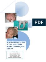 Embriologia Sistema Osteomuscular