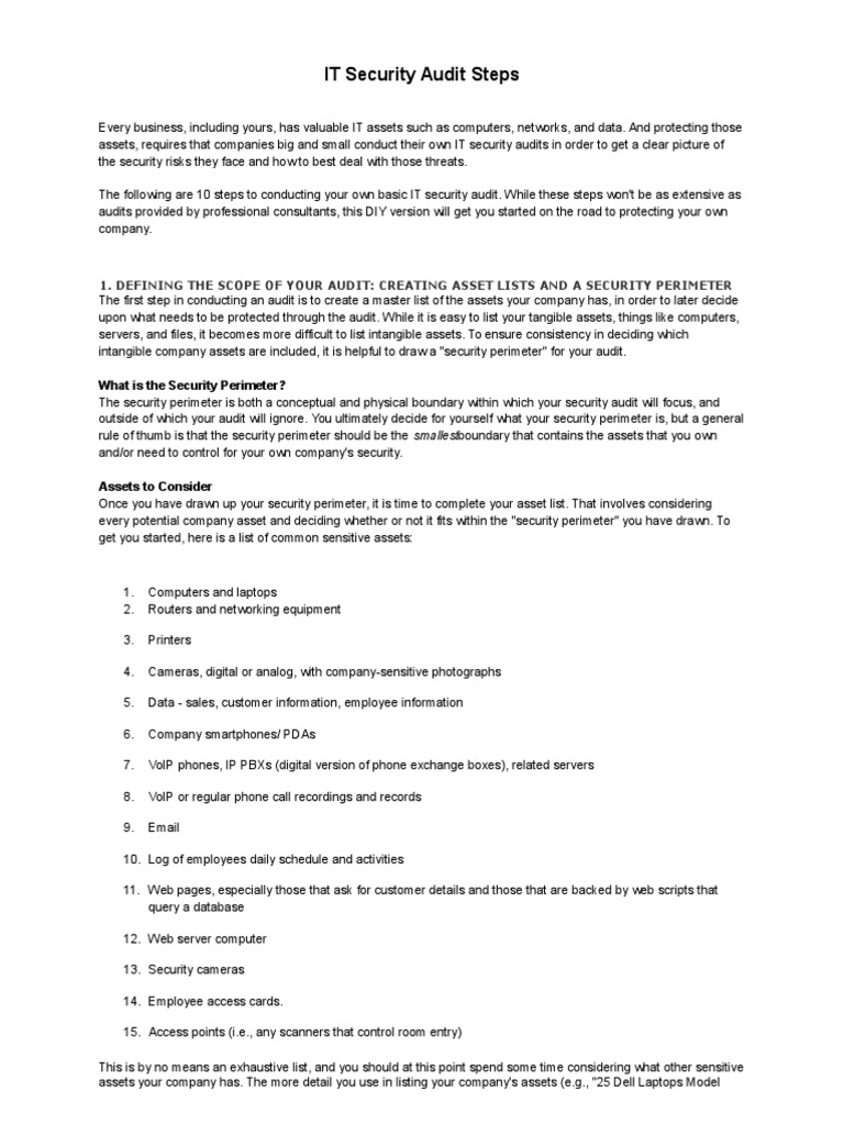 10 Steps for IT Security Audits | PDF