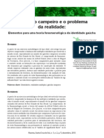 Elementos para Uma Teoria Fenomenológica Da Identidade Gaúcha