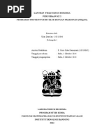 Download Laporan 2 Pemisahan Protein Putih Telur Dengan Fraksinasi by Ulan Darulan SN261843437 doc pdf