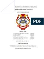 Laporan Praktikum Anatomi Fisiologi Manusia Kontraksi Otot Polos (Esofagus) (Software Expharm)