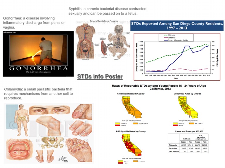 STD Overview: Chlamydia, Gonorrhea, Syphilis | PDF