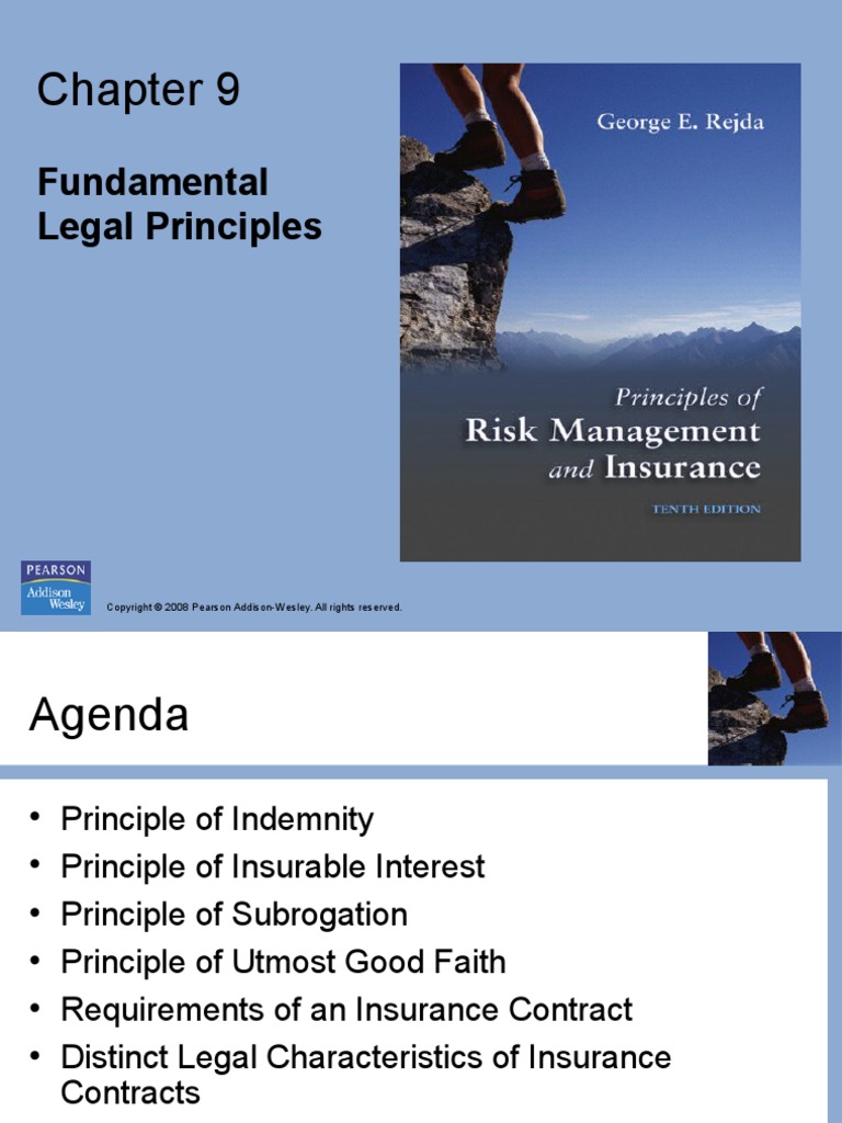 Risk management Law Of Agency Insurance
