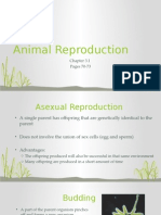 ch 3 1 animal reproduction