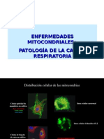 BQ21 Patologia Mitocondrial
