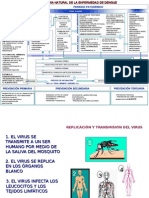 127501323 Historia Natural de La Enfermedad Dengue