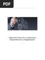 Etapas Del Proceso de La Organizacion