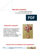Infección Urinaria _Dr. P. C