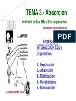 T3-exposicion-absorcion.pdf