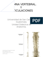 Columna Vertebral y Articulaciones