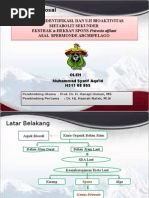 Download Isolasi Identifikasi Dan Uji Bioaktivitas by Zulkarnaim SN261889746 doc pdf
