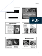 ANALGESIA Y ANESTESIA.pdf