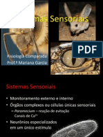 Sistemas Sensoriais 