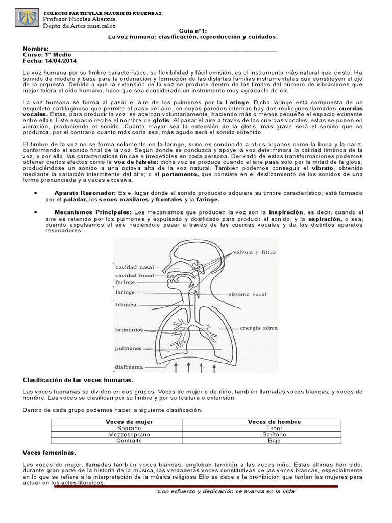Clasificación y cuidados de la voz humana | PDF | Coro | Música vocal